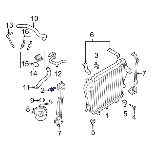 Radiator Mount Bolt