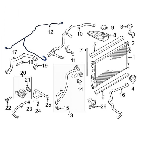 Engine Coolant Overflow Hose