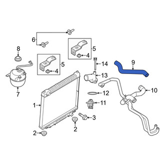 Ford OE - Upper Radiator Coolant Hose