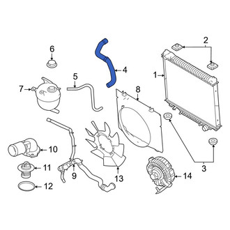 Ford OE - Upper Radiator Coolant Hose