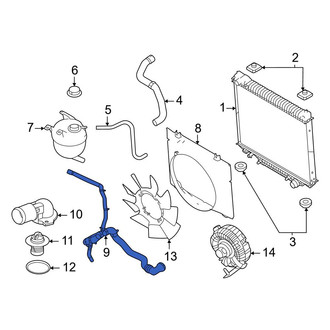 Ford OE - Lower Radiator Coolant Hose