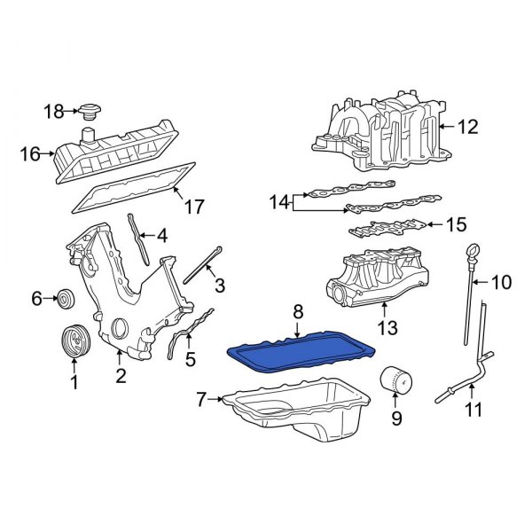 Engine Oil Pan Gasket