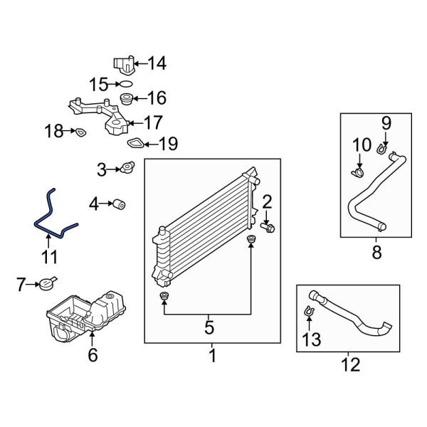 Engine Coolant Overflow Hose