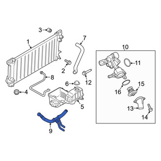 Ford OE - Lower Radiator Coolant Hose