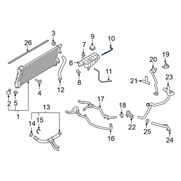 Engine Coolant Overflow Hose