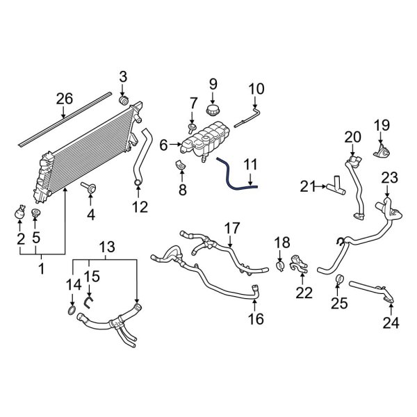 Engine Coolant Overflow Hose