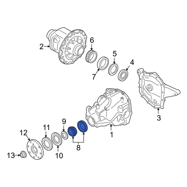 Differential Pinion Bearing