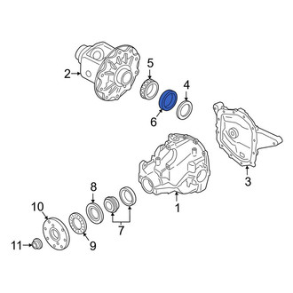 Ford OE - Rear Differential Carrier Bearing Race