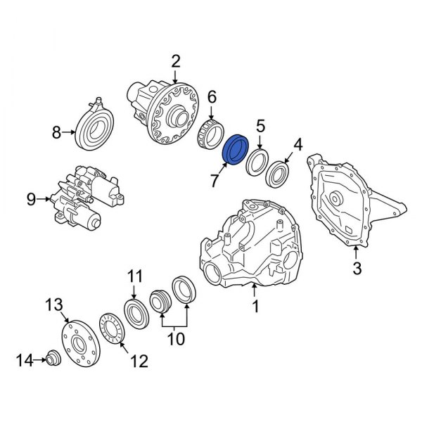 Differential Carrier Bearing Race