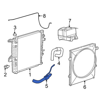 Ford OE - Lower Radiator Coolant Hose