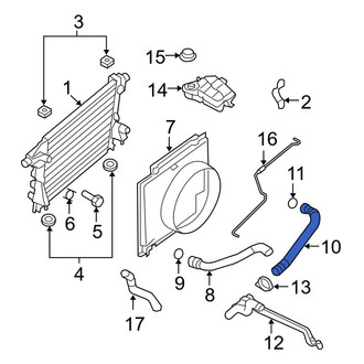 Ford OE - Lower Radiator Coolant Hose