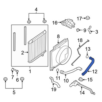 Ford OE - Lower Radiator Coolant Hose