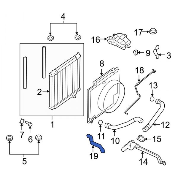 Engine Coolant Overflow Hose