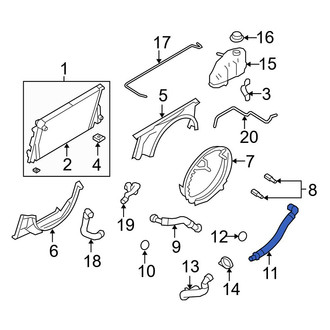 Ford OE - Lower Radiator Coolant Hose