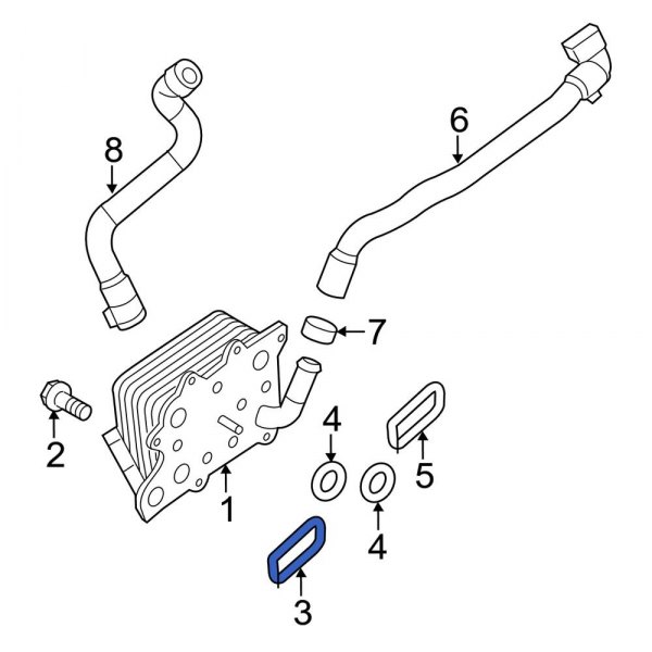 Engine Oil Cooler Gasket