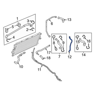 Ford OE - Upper Radiator Coolant Hose