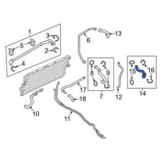 Ford OE - Lower Radiator Coolant Hose