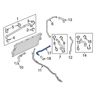 Ford OE - Lower Radiator Coolant Hose