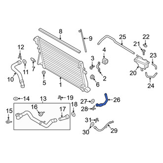 Ford OE - Lower Radiator Coolant Hose
