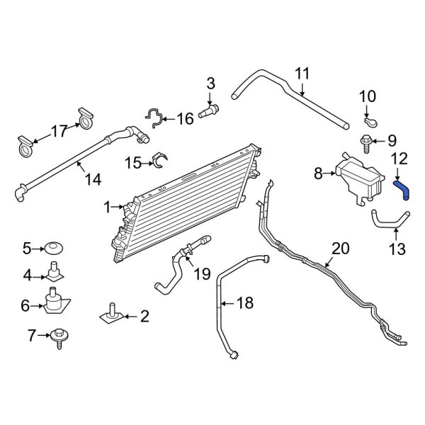 Engine Coolant Reservoir Hose