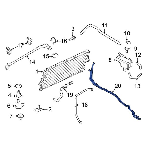 Radiator Coolant Hose