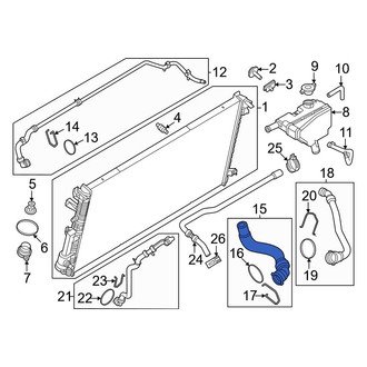 Ford OE - Engine Coolant Overflow Hose