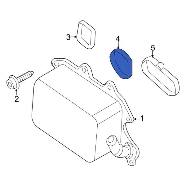 Engine Oil Cooler Gasket