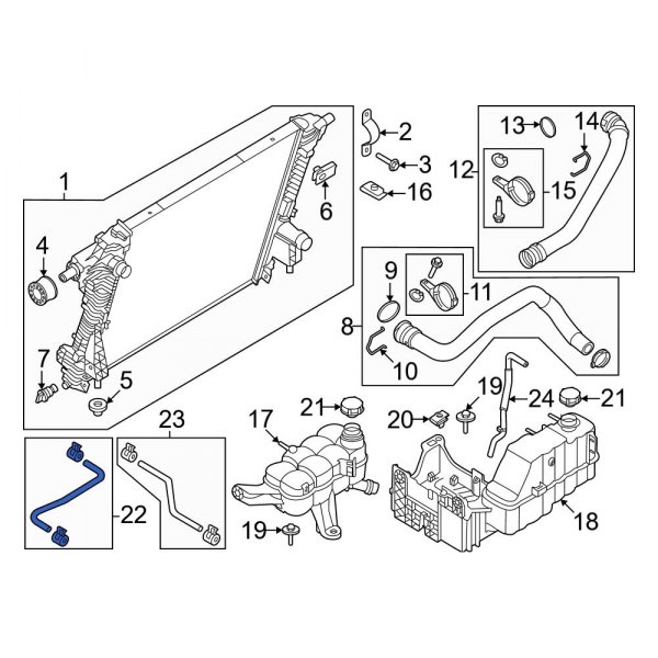 Engine Coolant Overflow Hose