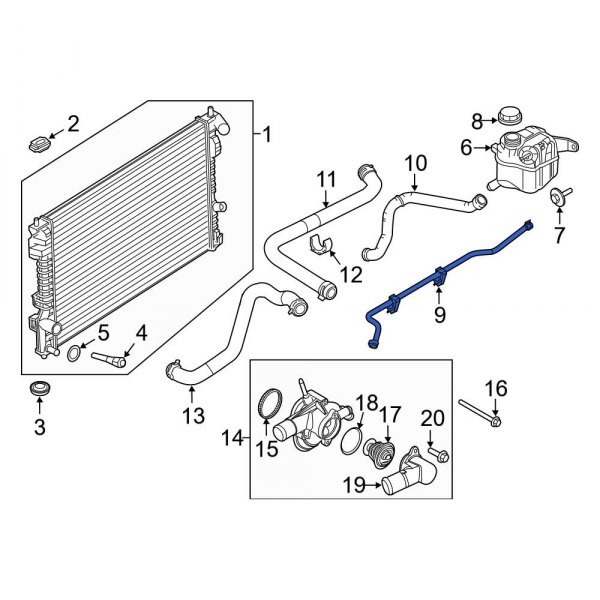 Engine Coolant Overflow Hose