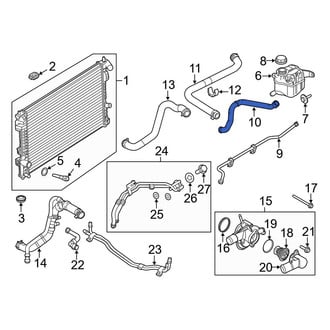 Ford OE - Lower Engine Coolant Overflow Hose