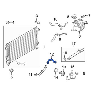 Ford OE - Lower Radiator Coolant Hose