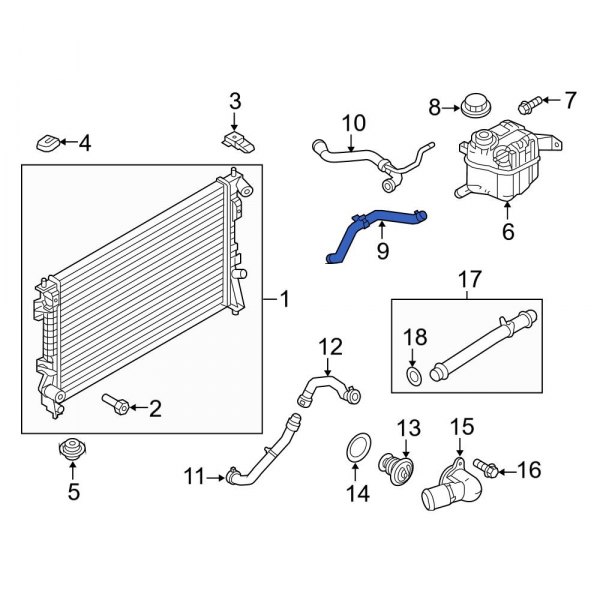 Engine Coolant Overflow Hose