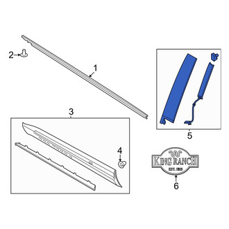 Ford OE - Rear Right Door Applique