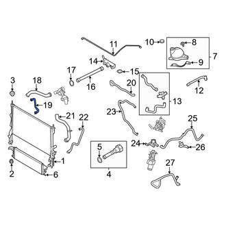 Ford OE - Lower Radiator Coolant Hose
