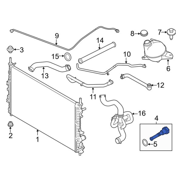 Radiator Drain Plug