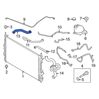 Ford OE - Upper Radiator Coolant Hose