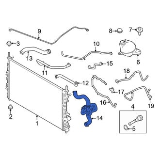 Ford OE - Lower Radiator Coolant Hose