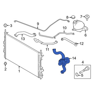 Ford OE - Lower Radiator Coolant Hose