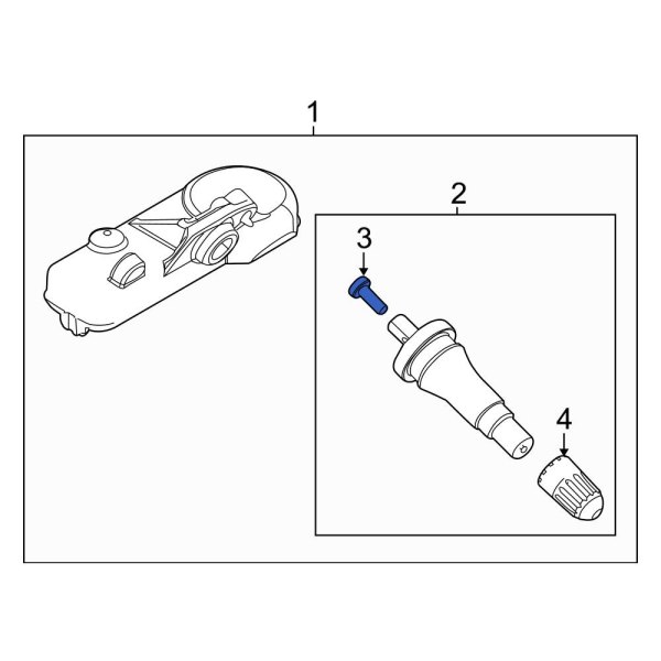 Tire Pressure Monitoring System (TPMS) Valve Stem Bolt