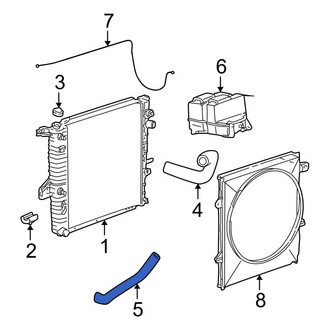 Ford OE - Lower Radiator Coolant Hose