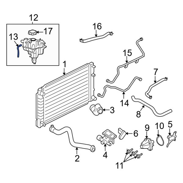 Engine Coolant Overflow Hose