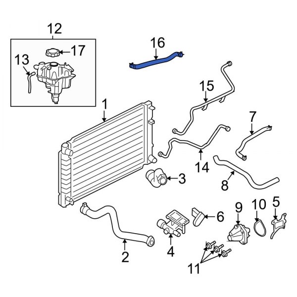 Engine Coolant Overflow Hose