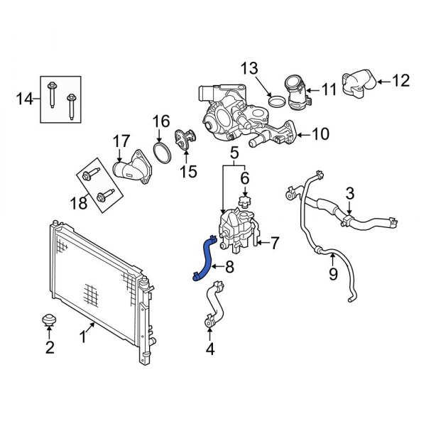 Engine Coolant Overflow Hose