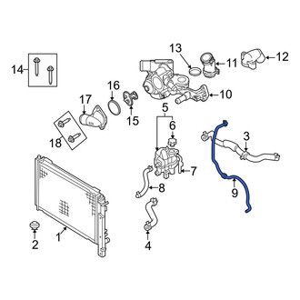 Ford OE - Engine Coolant Overflow Hose
