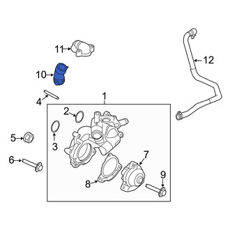 Ford OE - Lower Radiator Coolant Hose