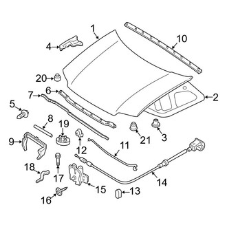 Ford OE - Hood & Components (Limited / XLS / XLT)