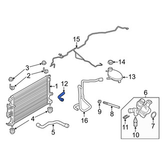 Ford OE - Lower Radiator Coolant Hose