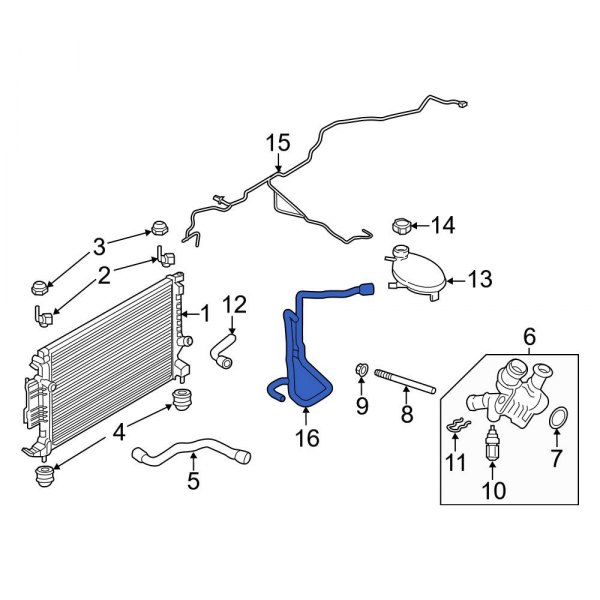 Engine Coolant Overflow Hose