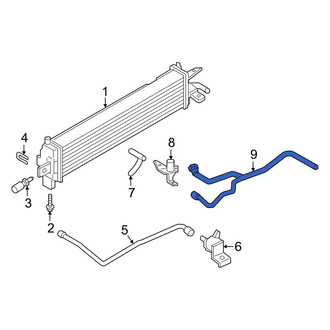 Ford OE - Lower Radiator Coolant Hose