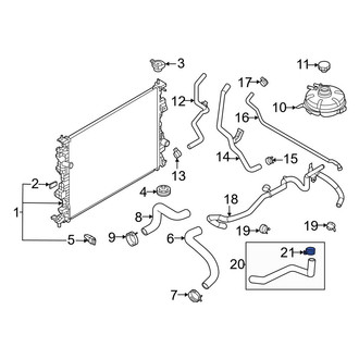 Ford OE - Radiator Hose Clamp